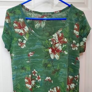 Fresh Produce Ladies Super Soft Scoop neck top in Large